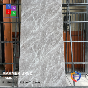 ESMR 05