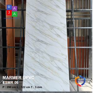 ESMR 06