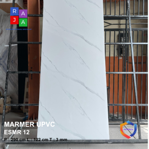 ESMR 12
