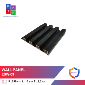 ESW-09